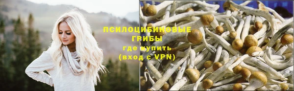 соль ск Бугульма
