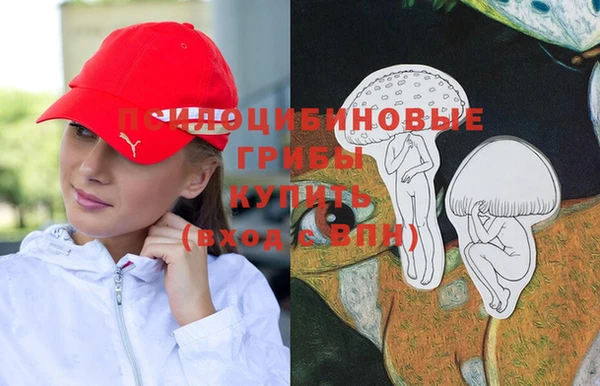 apvp Бронницы