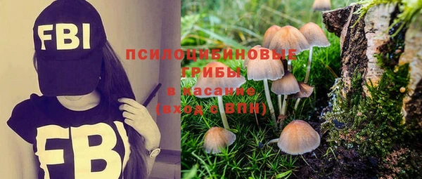 apvp Бронницы