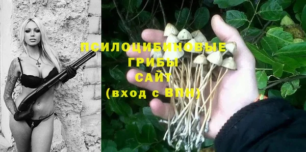 соль ск Бугульма
