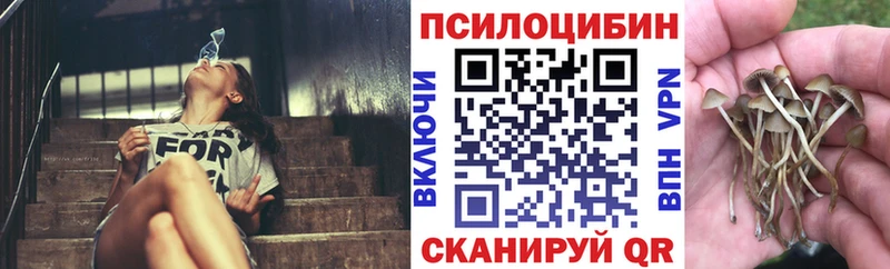 кракен как войти  купить   Раменское  Псилоцибиновые грибы Magic Shrooms 